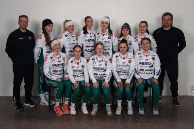 Naisten maakuntasarja joukkueen kuva