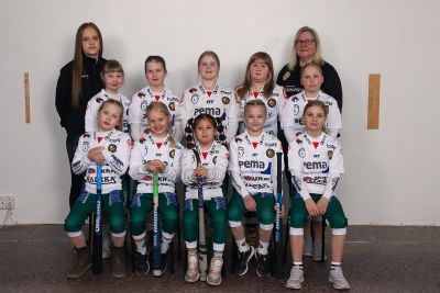 F-tytöt joukkueen kuva